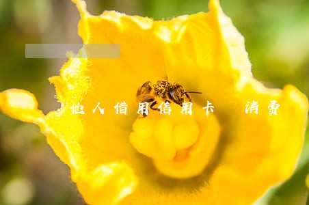 他人借用信用卡 消费 逾期 他人借用信用卡 消费 逾期